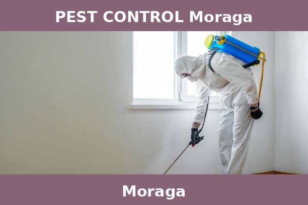 PEST CONTROL Moraga